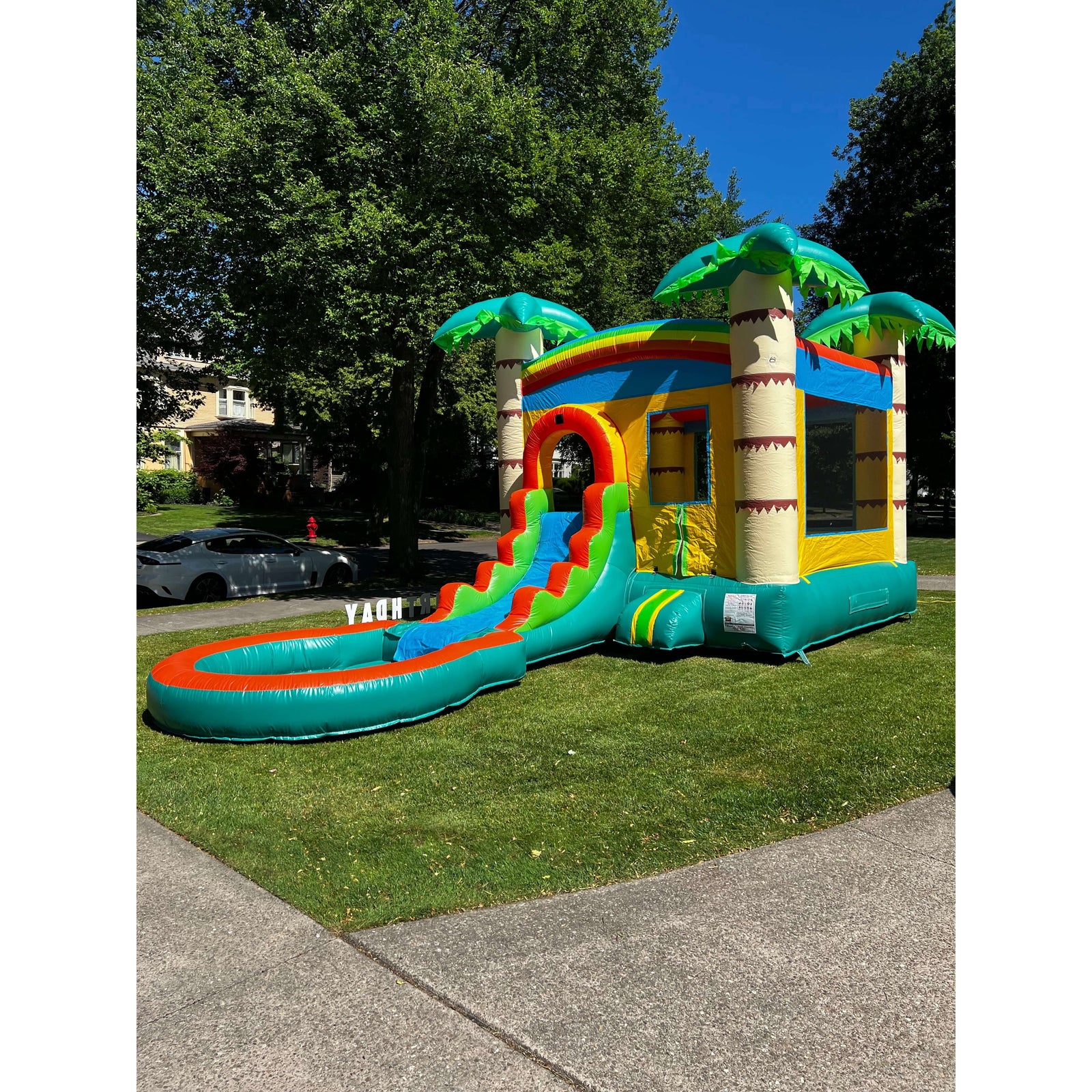 tropical-palm-bounce-house-and-single-slide-with-pool
